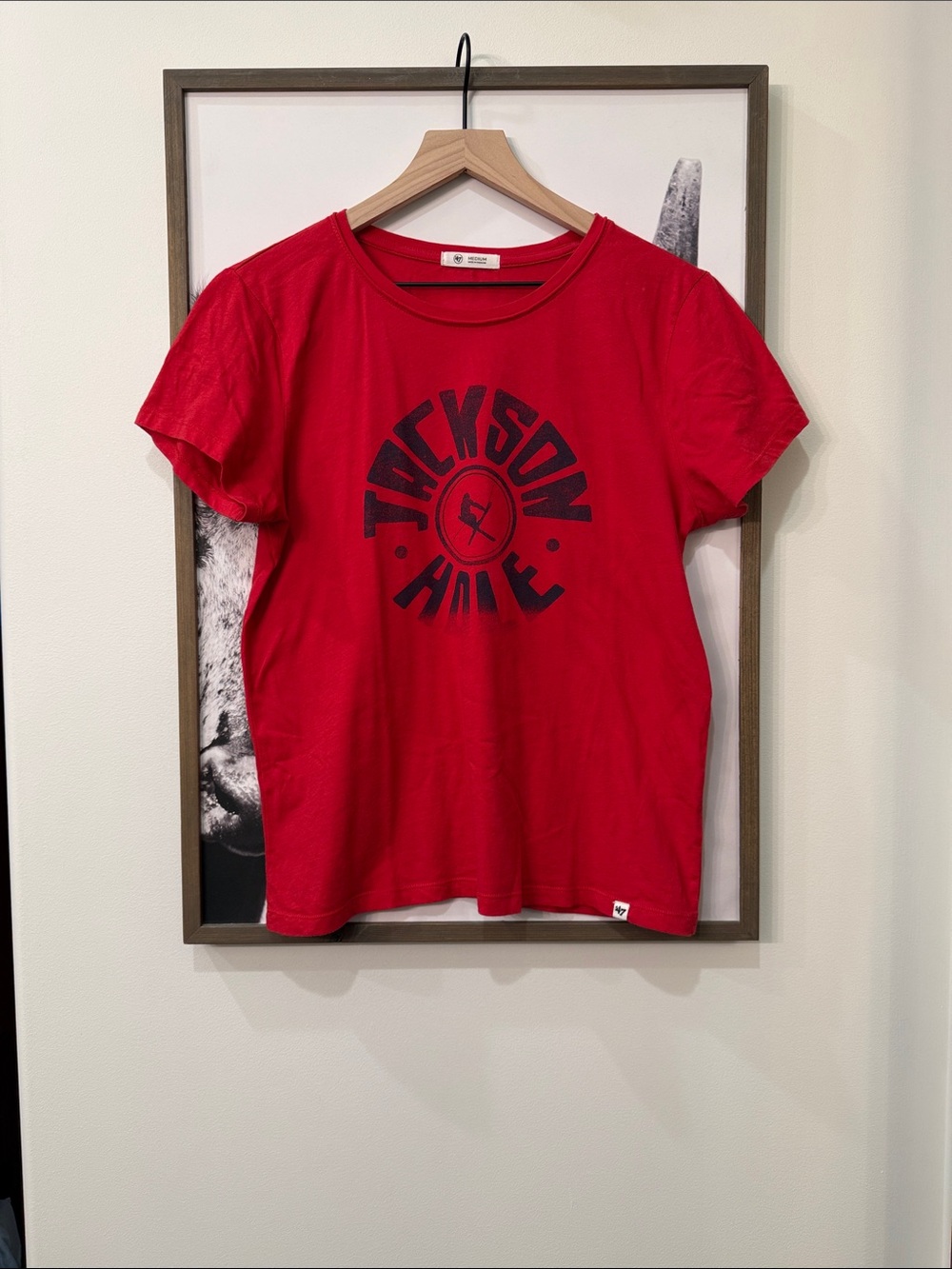 🏔️ 47 Jackson Hole T-Shirt